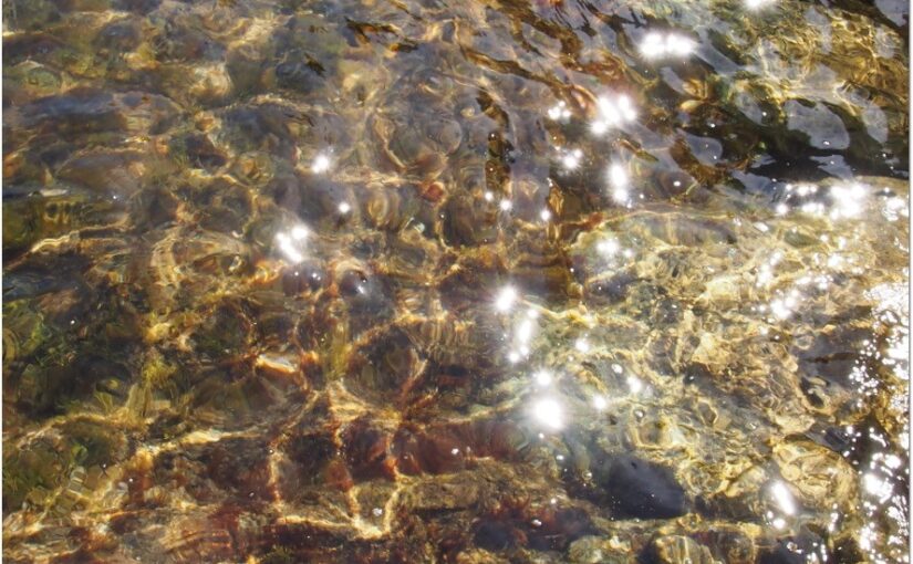 NYÁR